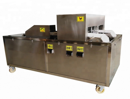 Fruits Pitting Machine