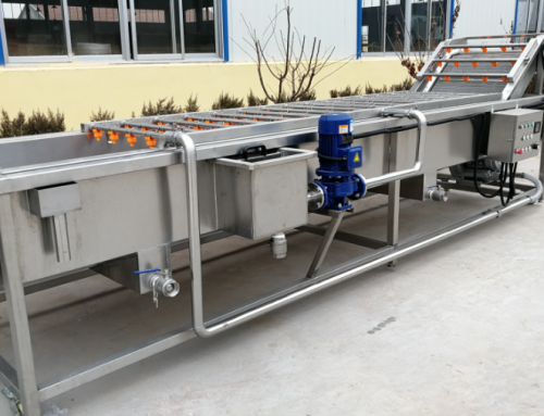 Fruit &Vegetable Bubble Washing Machine