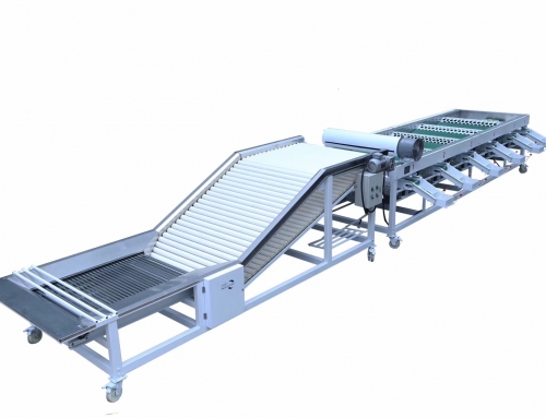 Fruits vegetables grading machine