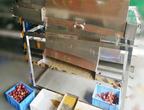Automatic passion fruits processing machine