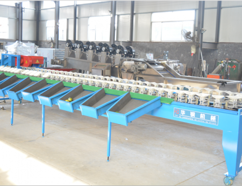 Automatic fruits grading machine for apple, orange, peach