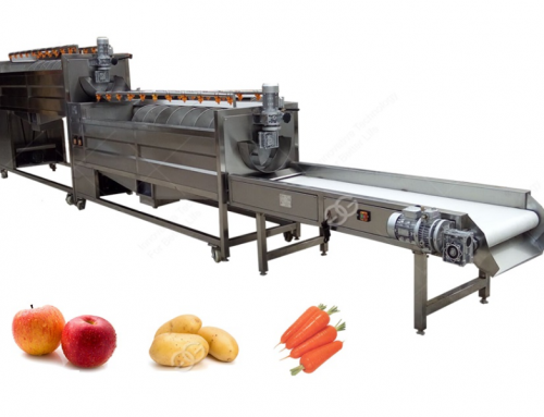 High Capacity Double Brush Carrot Washing Machine