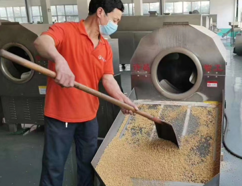 Mini roaster machine