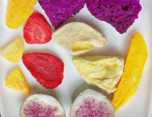 Vacuum food freeze dryer for fruits vegetables